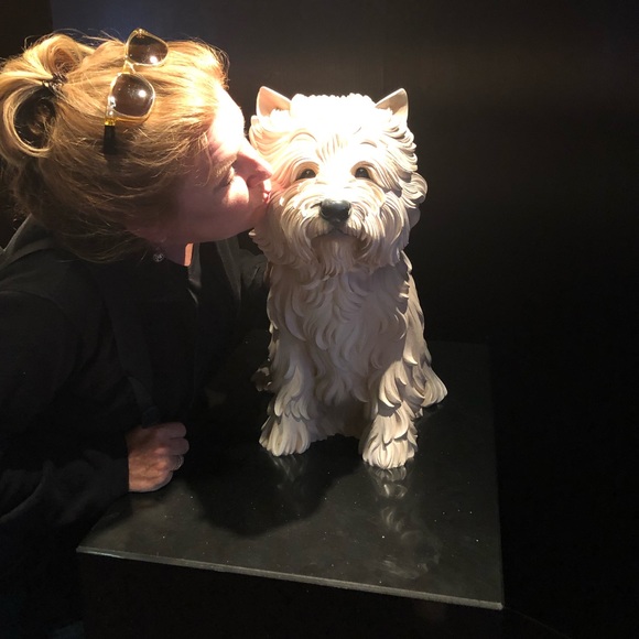 Meet your Posher, Sydney - Picture 1 of 1